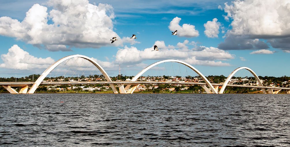 AIAFA Brasil realiza Workshop inédito em Brasília